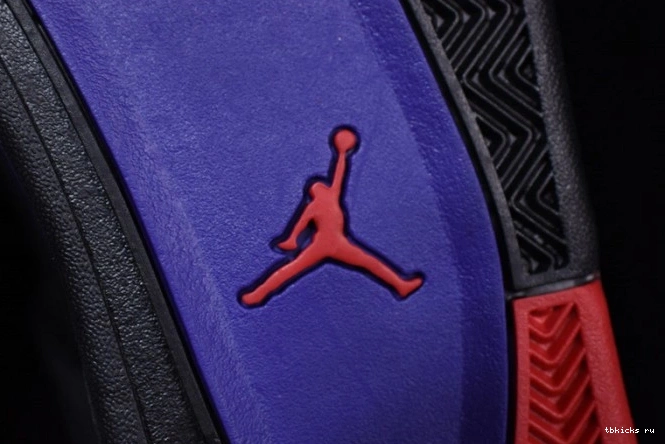 Reps TB AQ3816-065 Raptors
